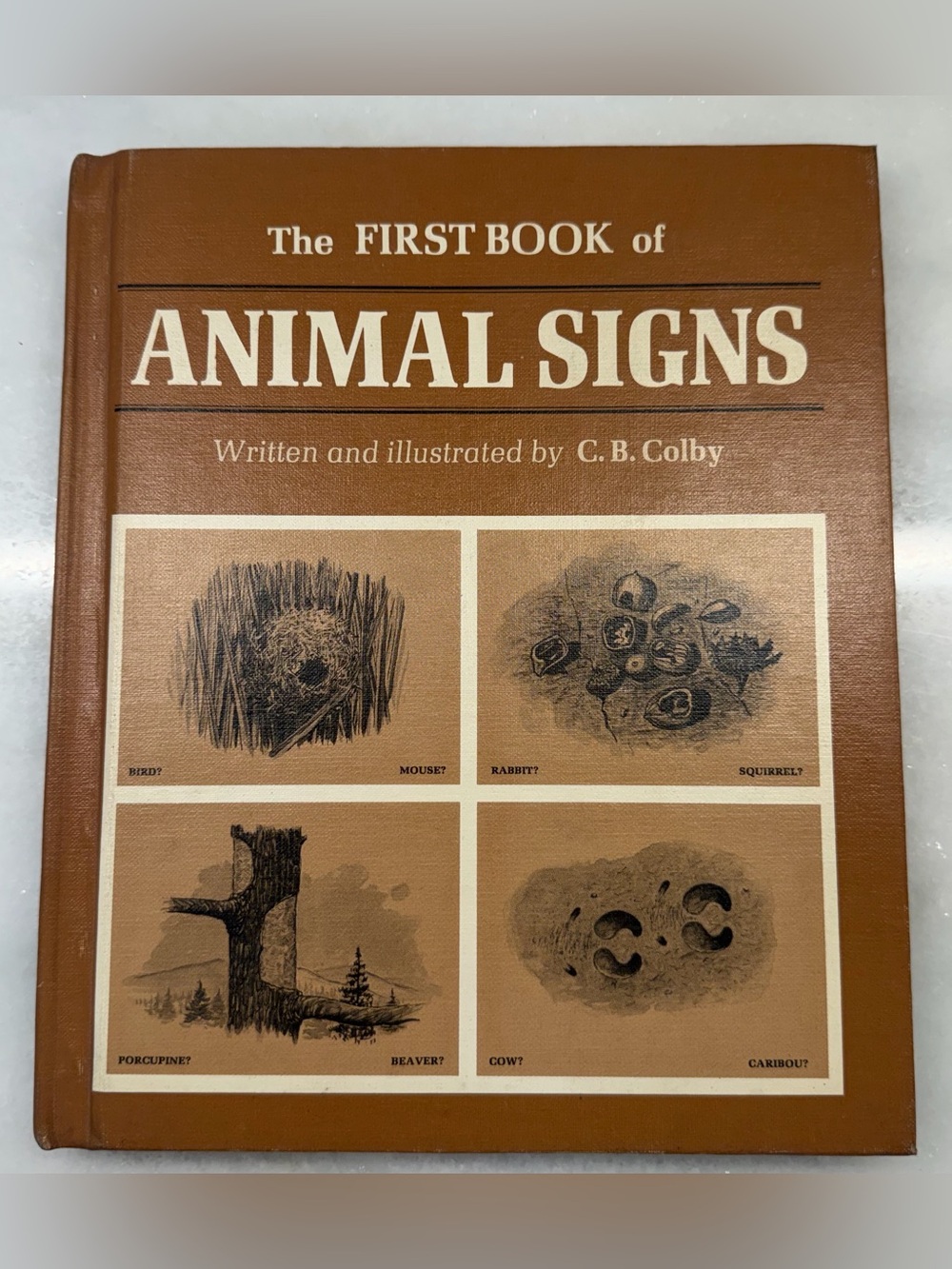 Vintage 1966 The First Book of Animal Signs C.B. Colby Hardcover Wildlife Nature